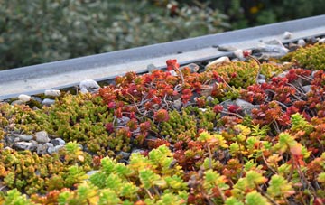the cost of Burwood green roof installation