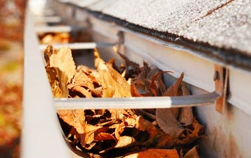 Burwood gutter cleaning companies