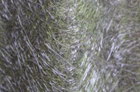 Burwood fibreglass roof work